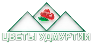 Р¦РІРµС‚С‹ РЈРґРјСѓСЂС‚РёРё
